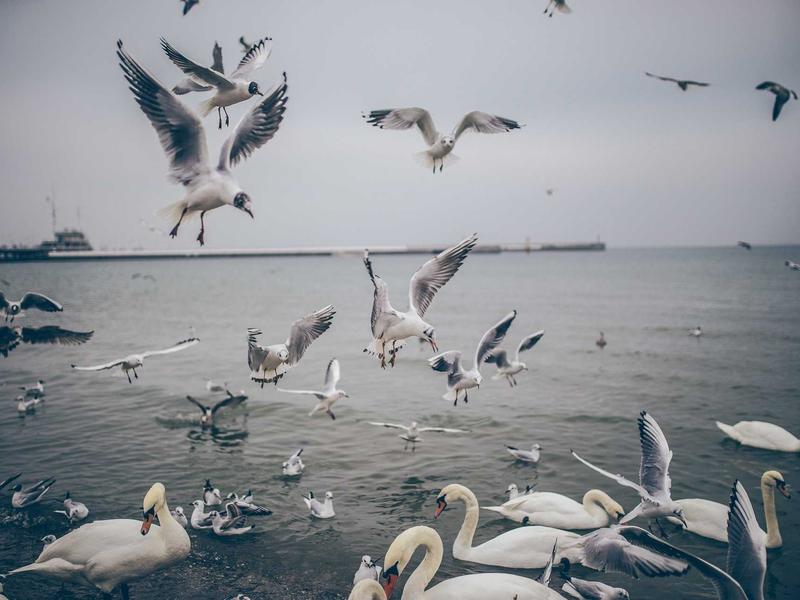 sudoku logic solving screenshot 2